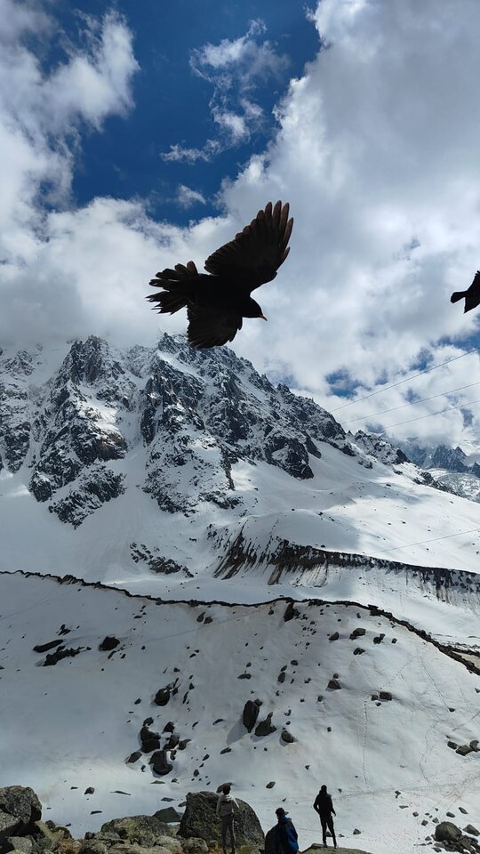 IMG-20250518-WA0006.jpg - Wesolychlopakk