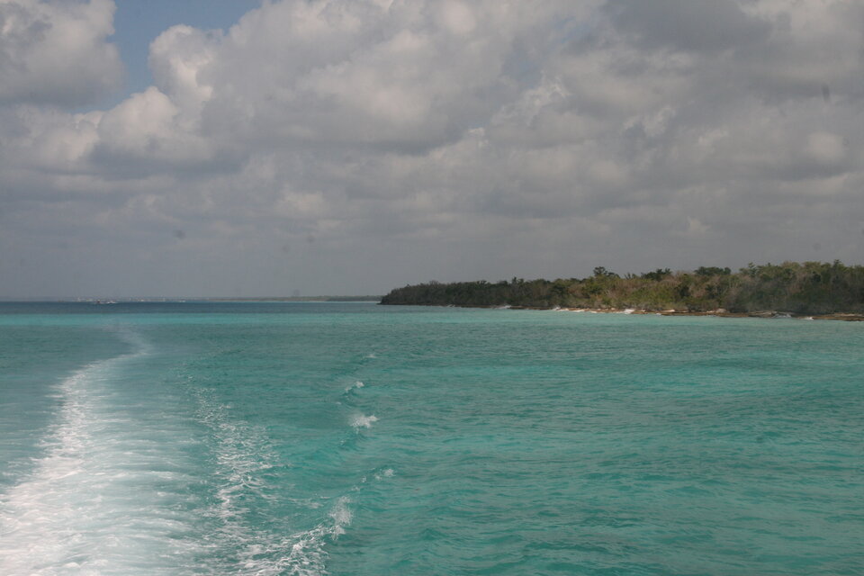 IMG_1007.JPG - iridescent