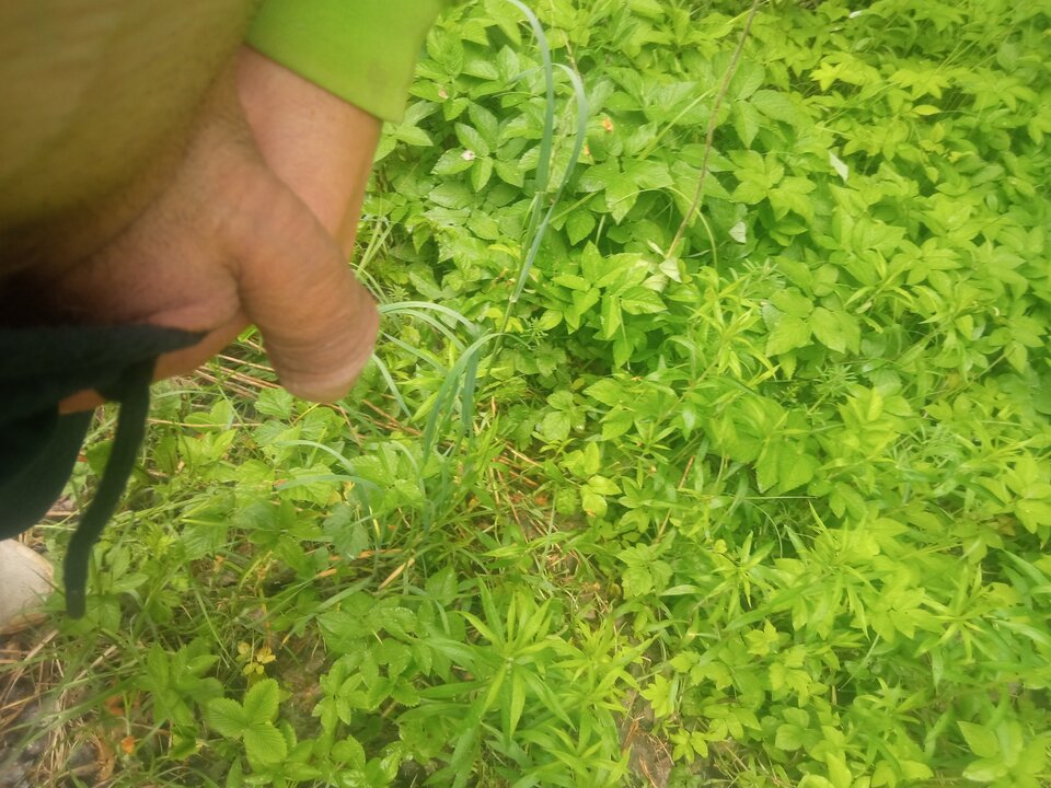 IMG_20250520_072305.jpg - Fajny198422