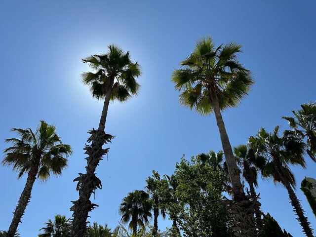 Kochajacesiemalzenstwo13