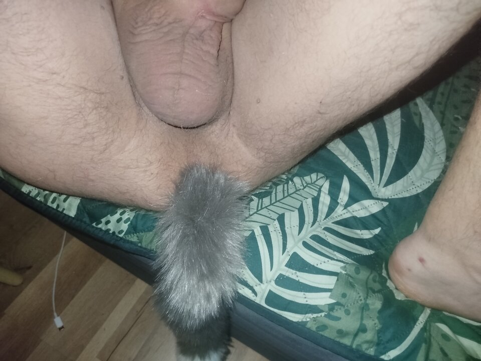 1000005150.jpg - Marcin1981wro