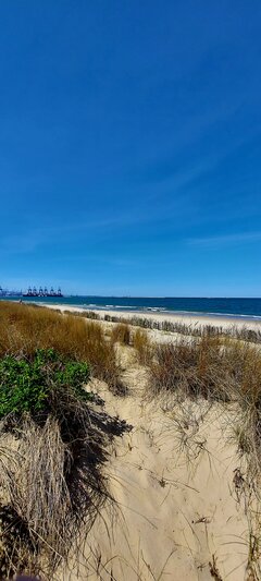 Początek sezonu 2025