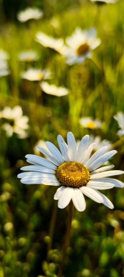 1000024693.jpg - squirt_lover_waw