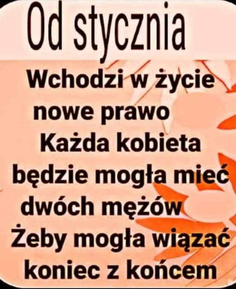 FB_IMG_1695218860506.jpg - Uranos80