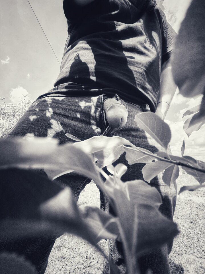 1000004385.jpg - YourSong