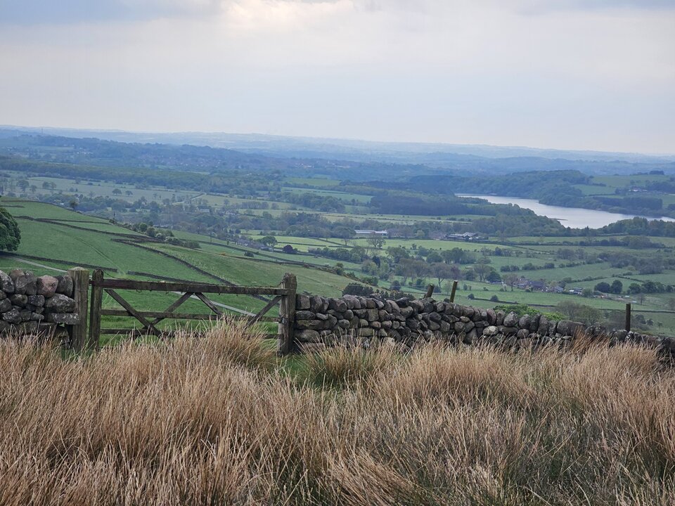 1000006704.jpg - Rokosz42