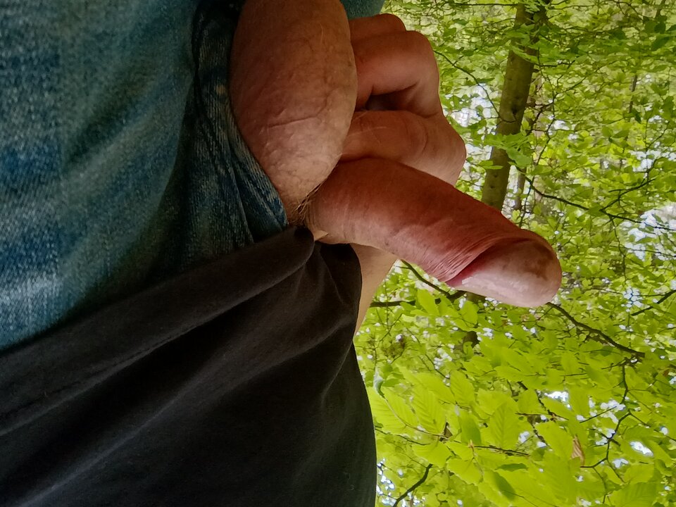 IMG_20250522_115905234_HDR.jpg - darrasek32