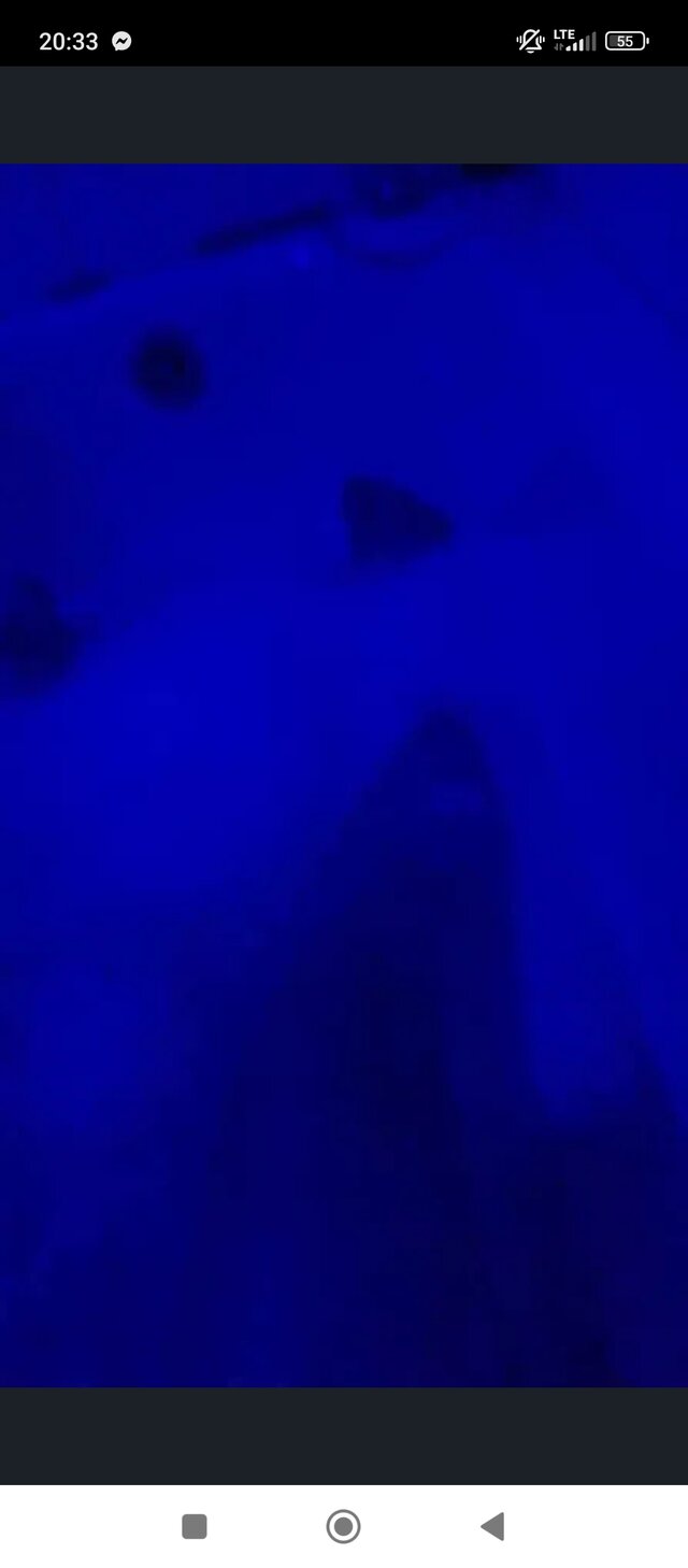 Vixaa69x