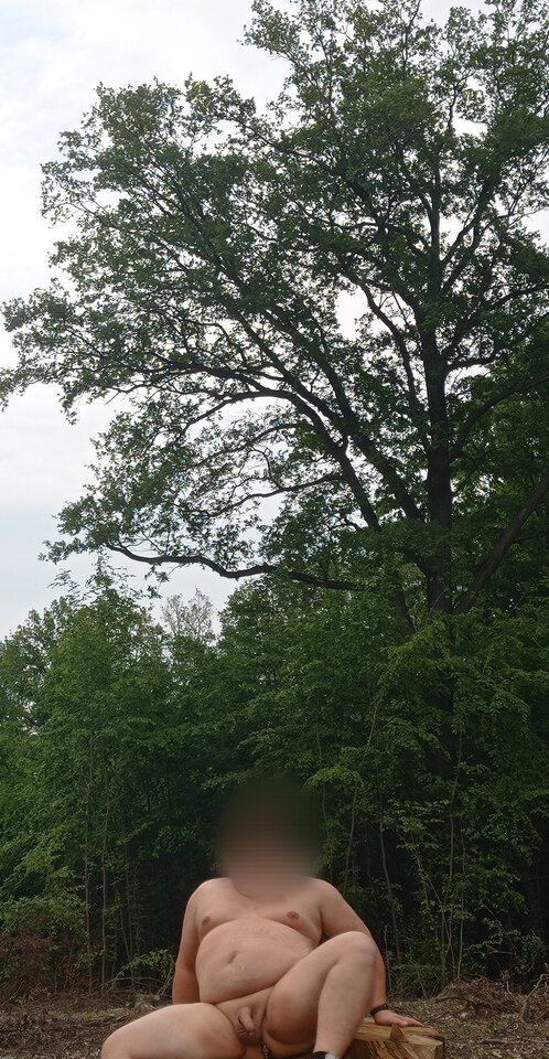 1000047851.jpg - 1983marcello