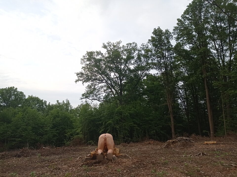 1000047845.jpg - 1983marcello