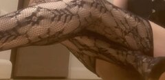 legs.jpg