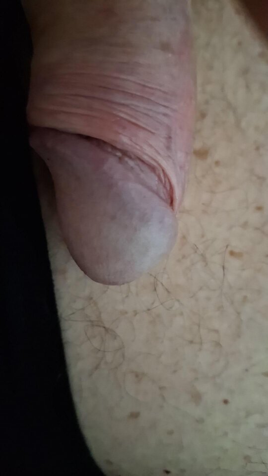 1000006411.jpg - mar_nn40