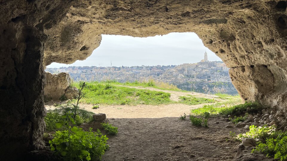 IMG_0261.jpeg - AdamSx1976