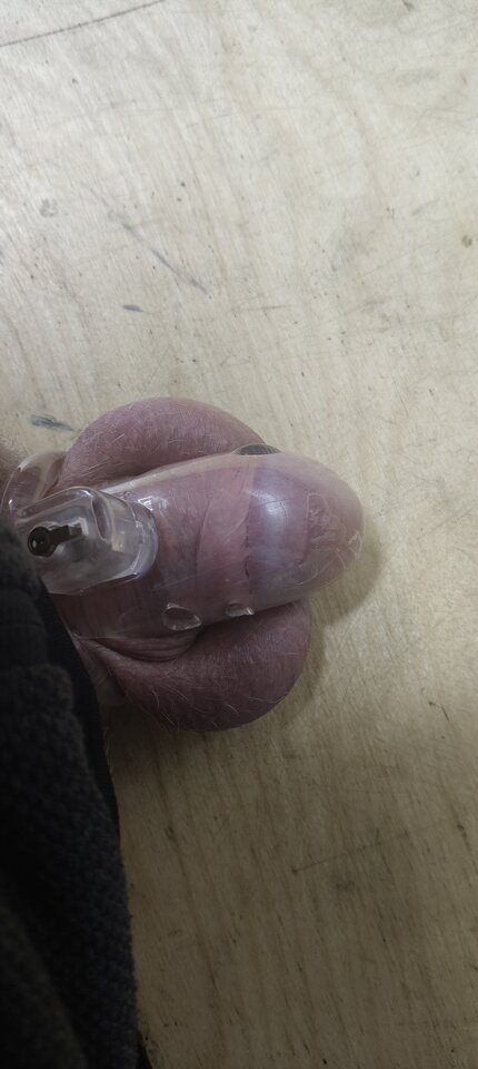 1000003911.jpg - Grzeczny_chlopczyk69