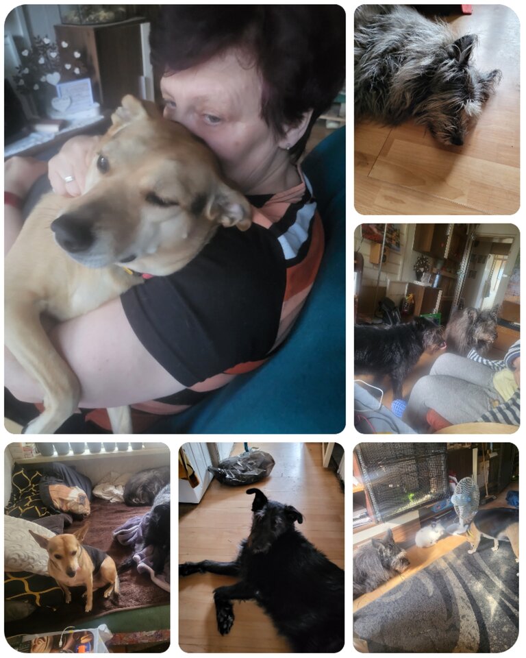 1000002460.jpg - Pawel1219