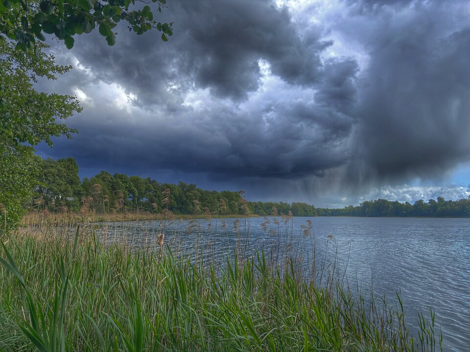 IMG_2522.jpeg - LukS1981