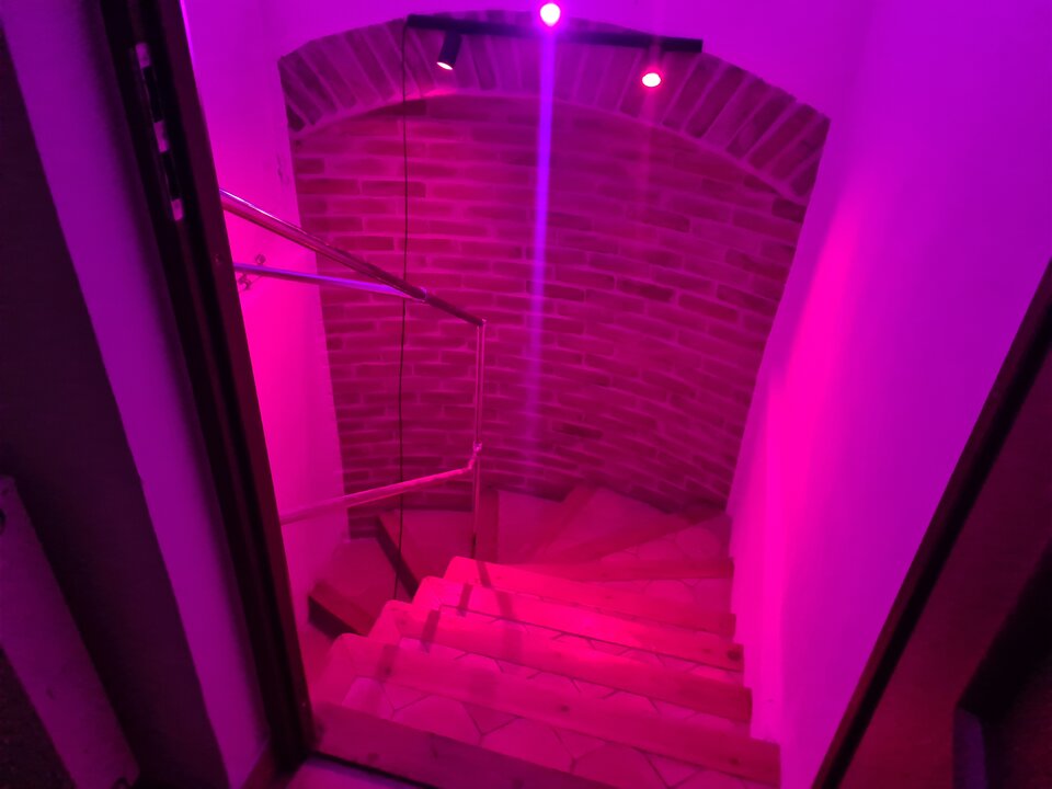 20250523_203022.jpg - Dungeon_Studio