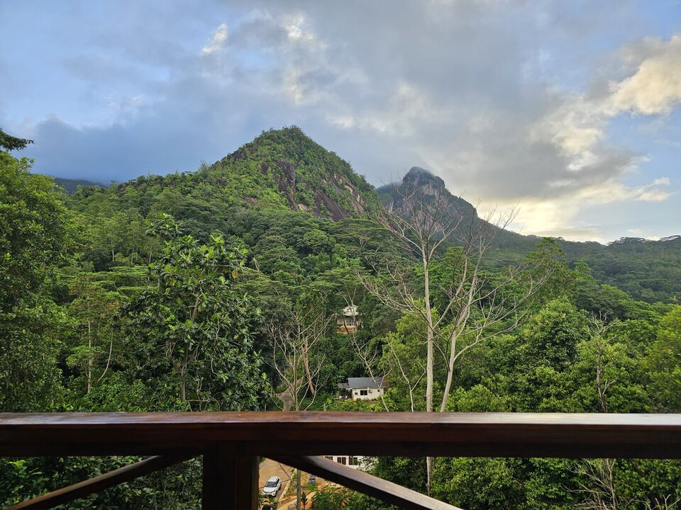 1000033316.jpg - roonin1971