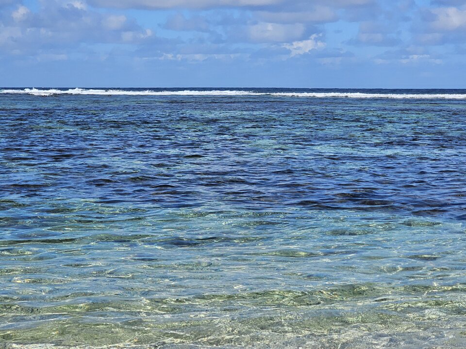 1000033345.jpg - roonin1971