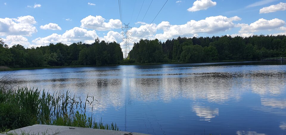 20250524_123159.jpg - Jadziakl