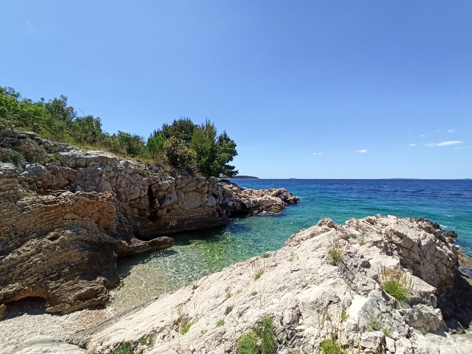 IMG_20250524_132904.jpg - cvrcak