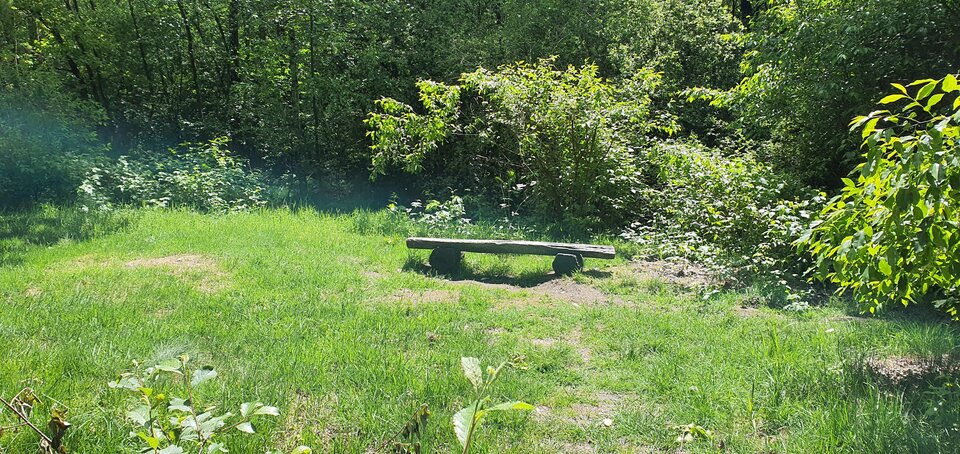 20250524_131809.jpg - Jadziakl