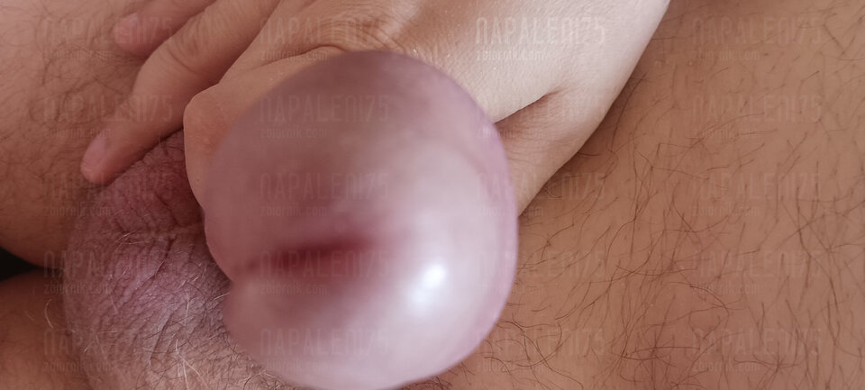 IMG_20250524_145145.jpg - Napaleni75