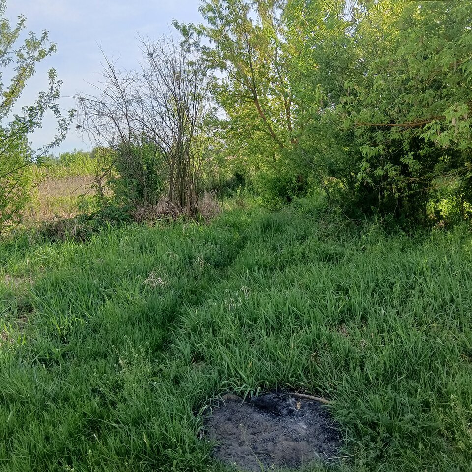 1000003225.jpg - Wszolek