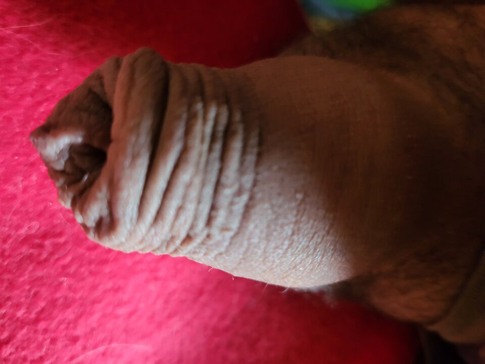 1000032946.jpg - Petee86