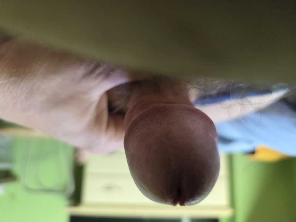 1000011477.jpg - TomekMisiek12345