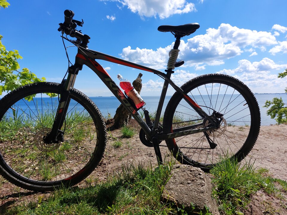 1000001547.jpg - _Koliberek