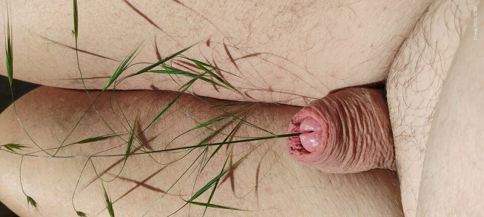 1000029524.jpg - Dojrzally