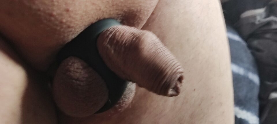 1000083558.jpg - Parasaksonia