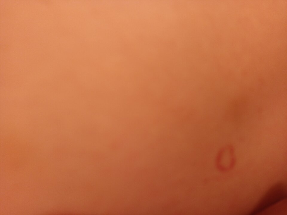 1000003751.jpg - ErDzej2