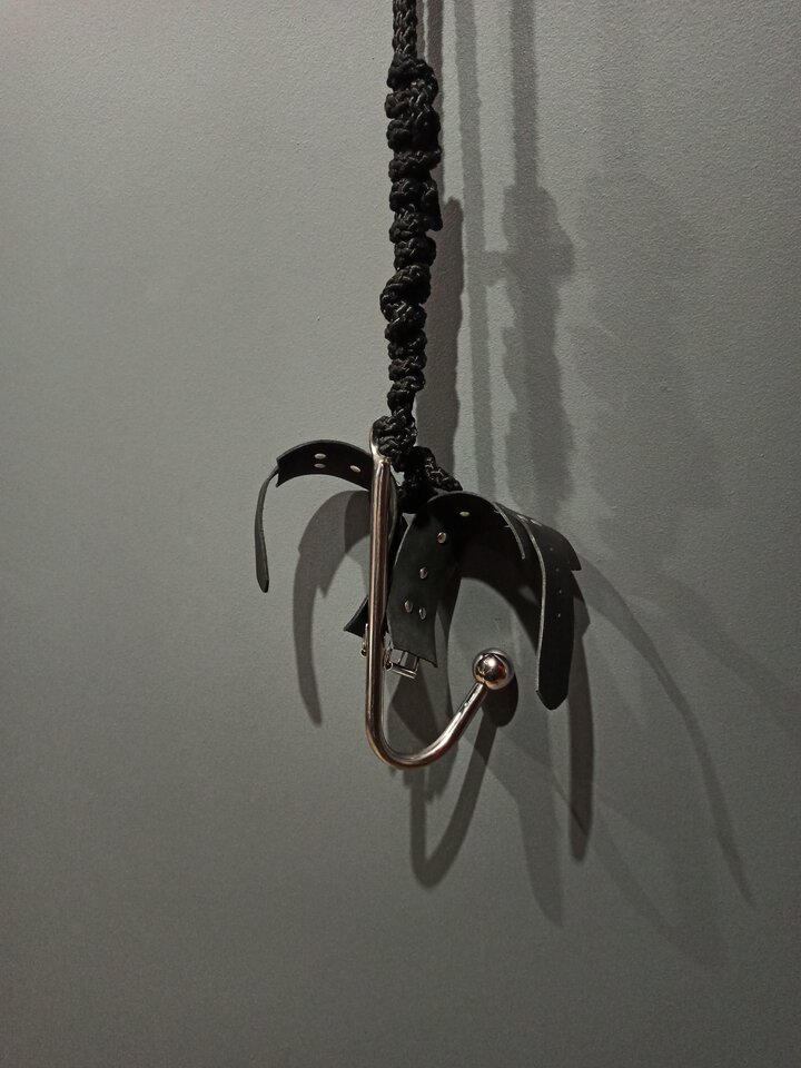 IMG_20250526_115614.jpg - Massterbdsm