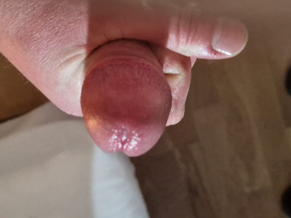 20250526_185007.jpg - davidniewyzyty