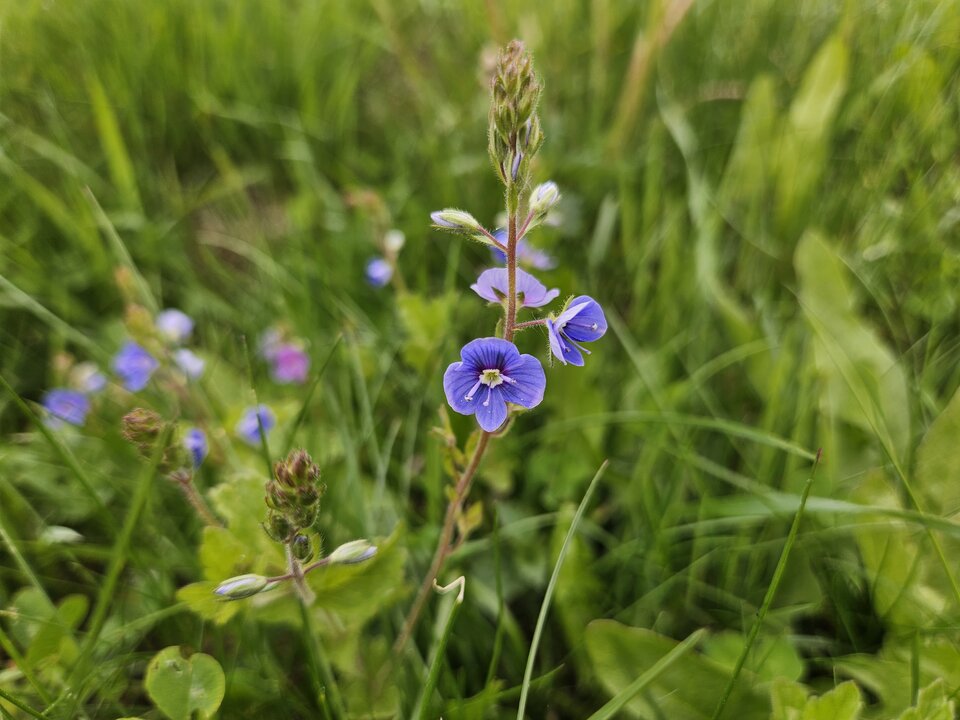 1000018535.jpg - una00