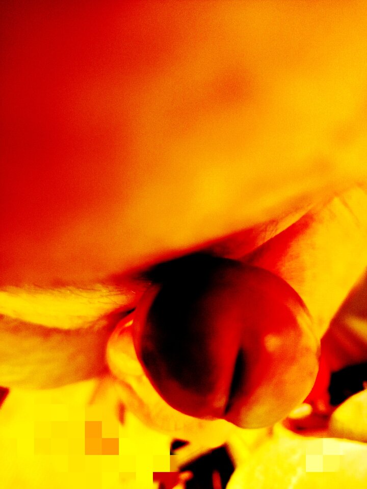 1000004547.jpg - Hjk18