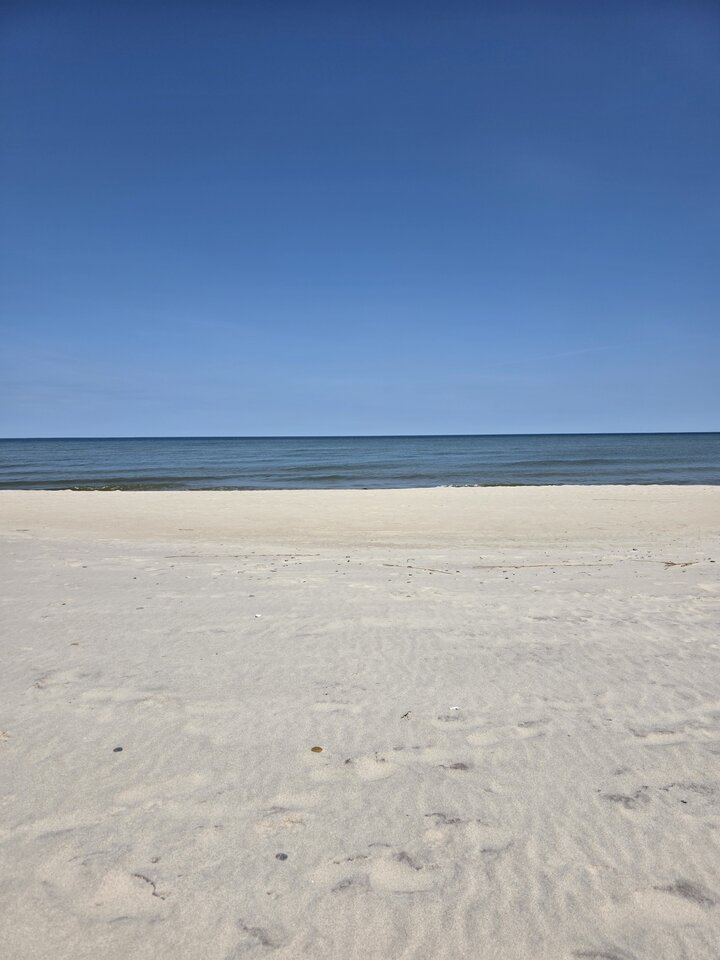 1000034451.jpg - Zjawakoszalin