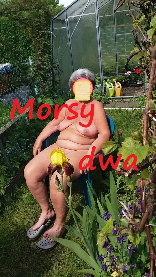 W słoneczku. - Morsy_dwa