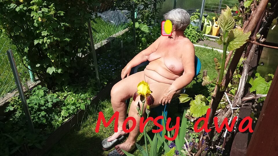 W słoneczku. - Morsy_dwa