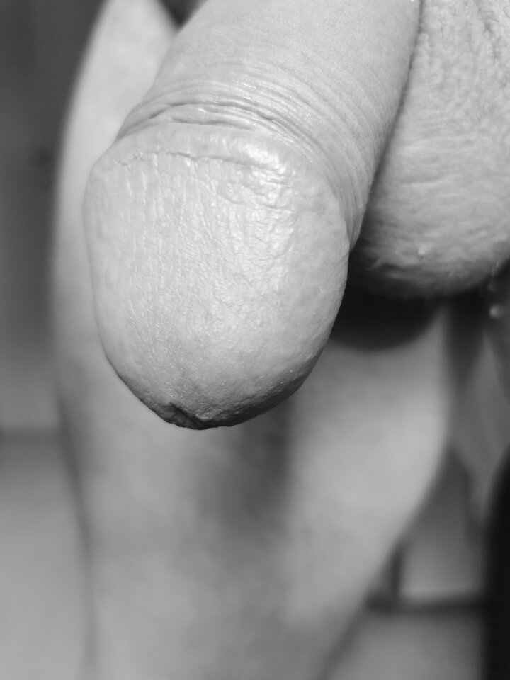 IMG_20250528_081101.jpg - Kaispio