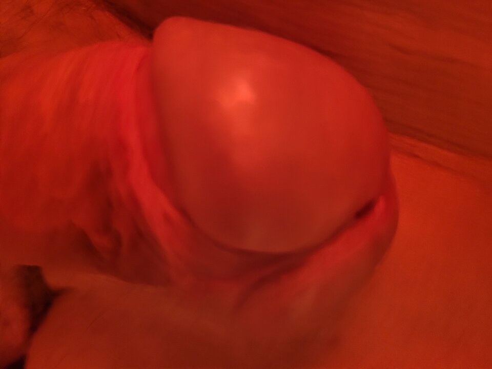 1000024618.jpg - normalnyprzygody