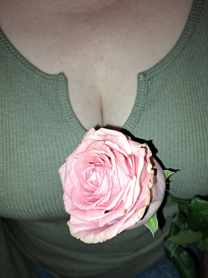 Różyczka od rogacza - cuckoldowie