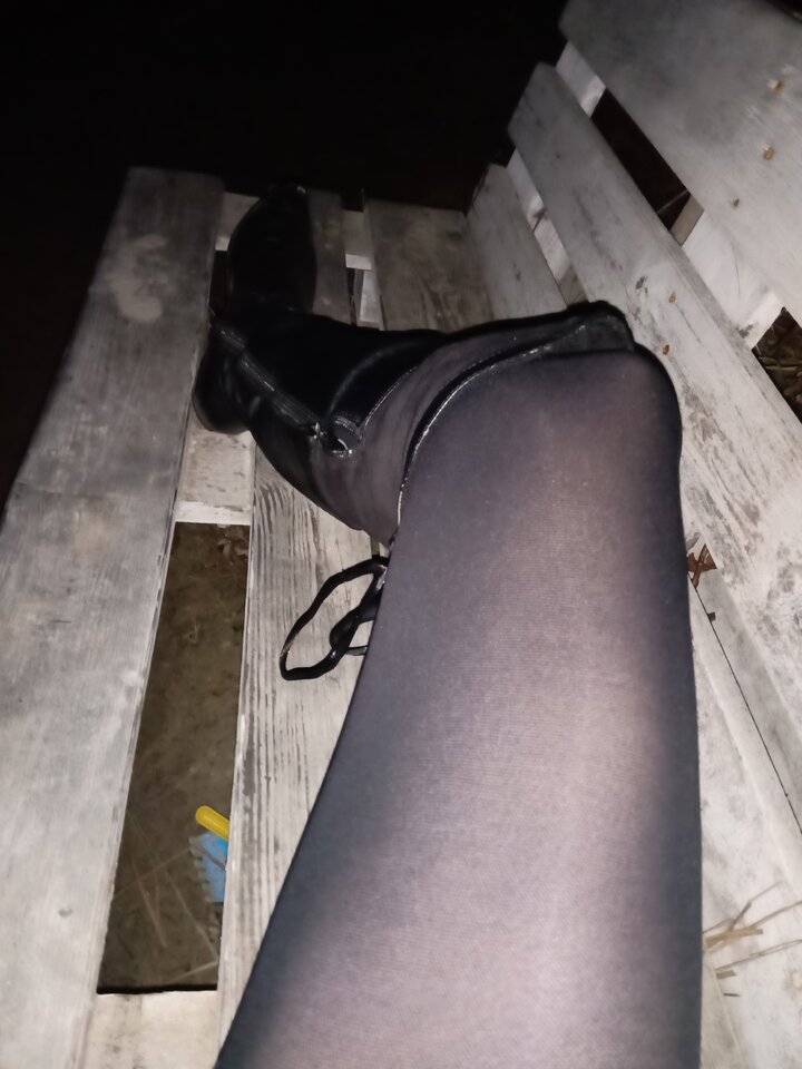 IMG_20210318_193242.jpg - Paula_trans