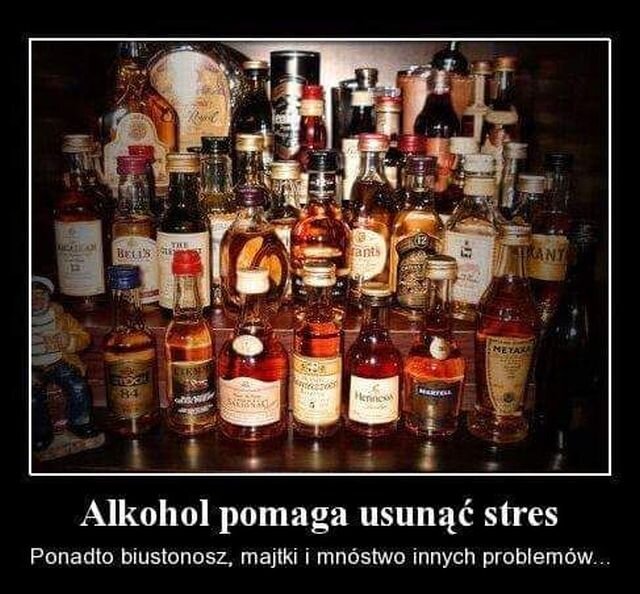 FB_IMG_1523004409172.jpg - parapod