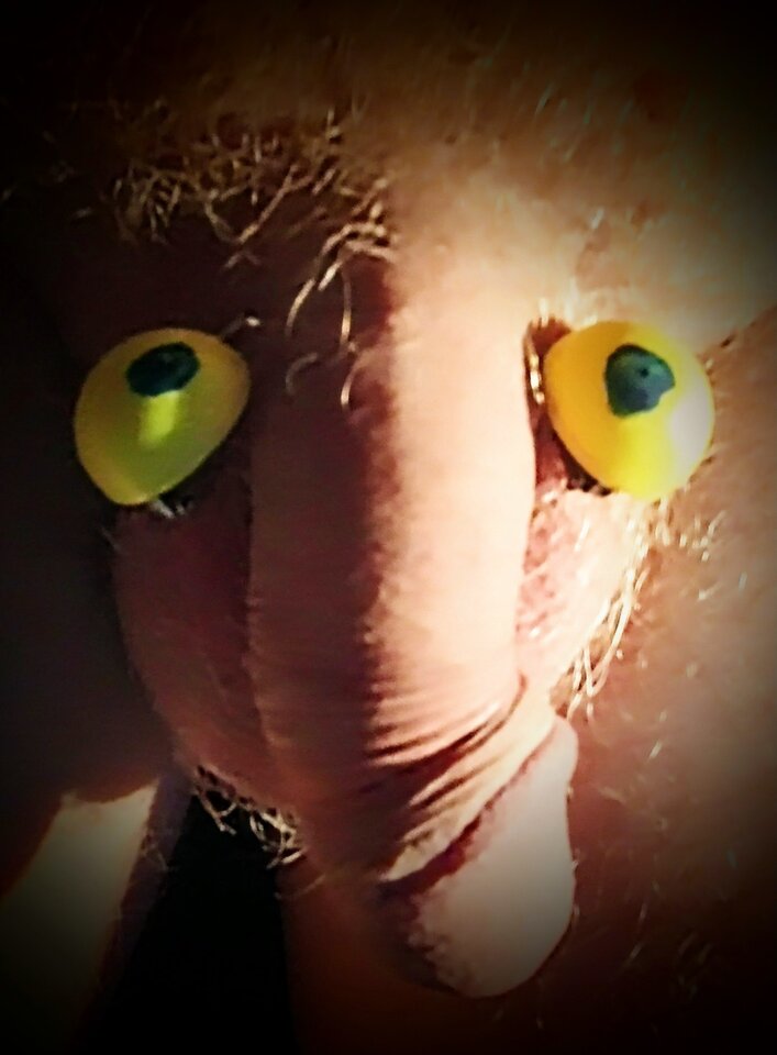 1000001342.jpg - degenerat90