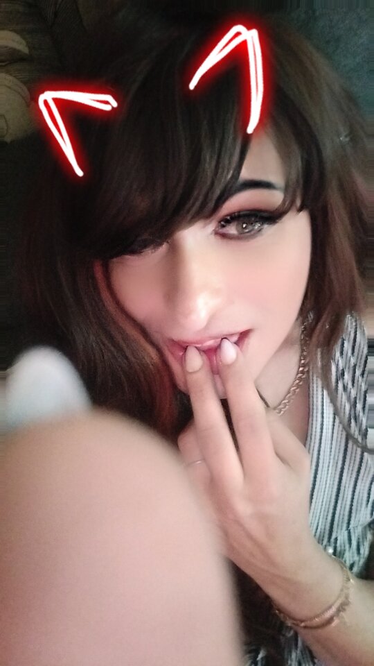 1000007022.jpg - TransKitty