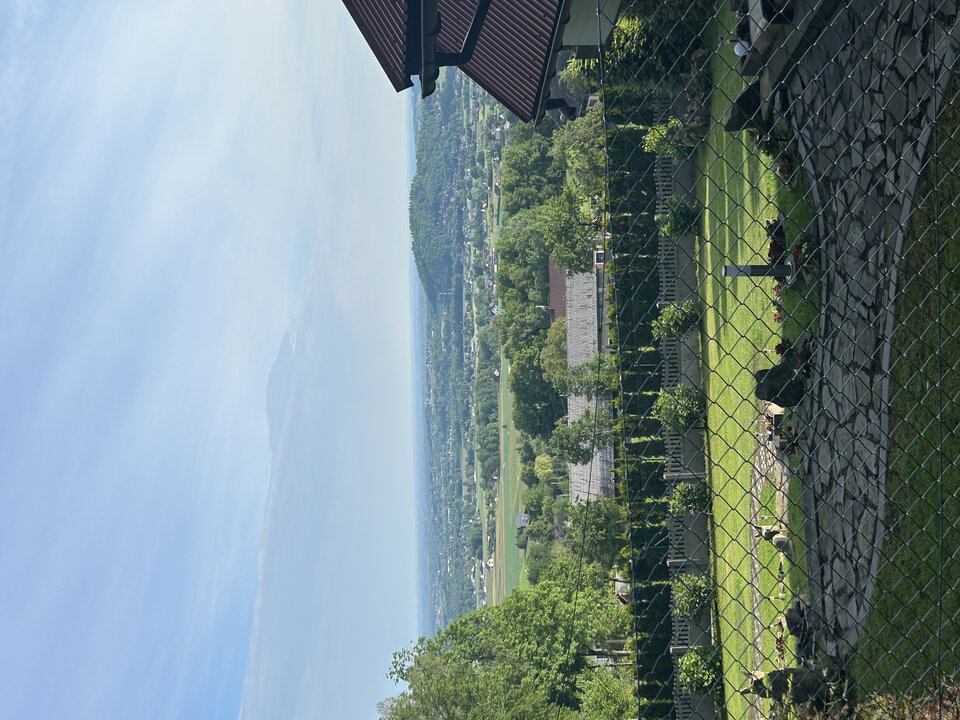 IMG_3221.jpeg - tom745