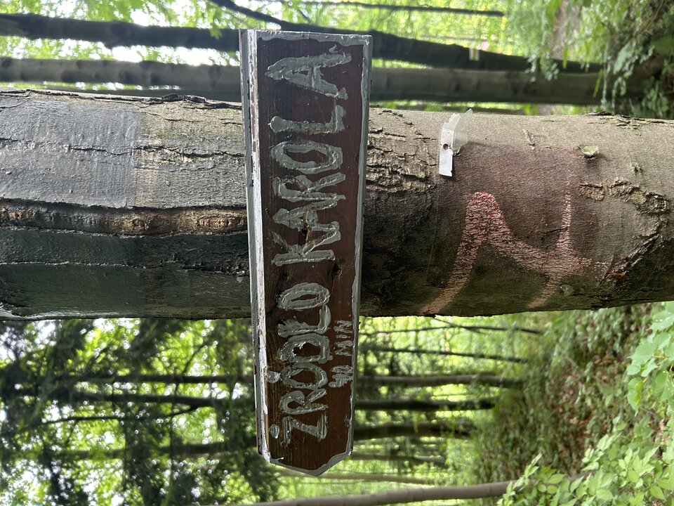 IMG_3244.jpeg - tom745